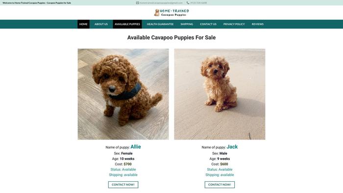 Hometrainedcavapoopuppies.com - Cavapoo Puppy Scam Review