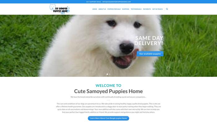 Icesamoyedpuppieshome.com - Samoyed Puppy Scam Review