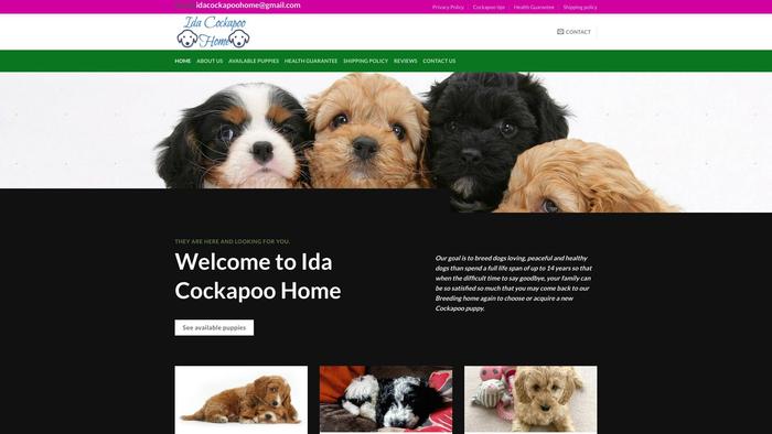 Idacockapoohome.com - Cockapoo Puppy Scam Review