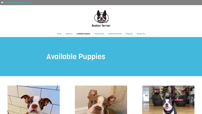 Indispensablebostonterriers.com - Boston Terrier Puppy Scam Review