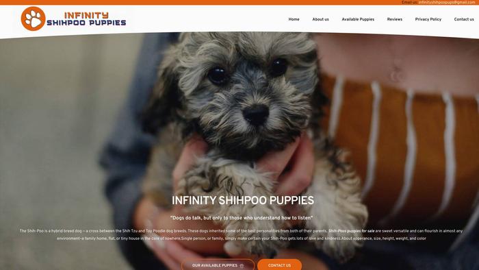 Infinityshihpoopups.com - Shihpoo Puppy Scam Review