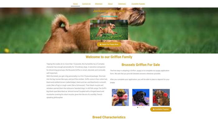 Jacksongriffonhome.dog - Maltese Puppy Scam Review