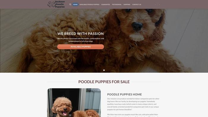 Jacksonspuppies.com - Poodle Puppy Scam Review