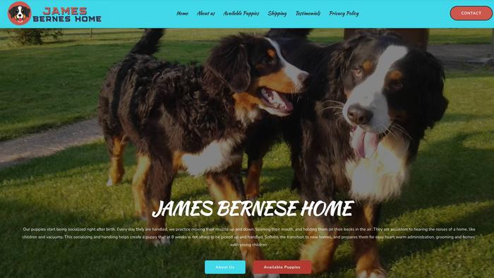 Jamesbernesehome.com - Bernese Mountain Dog Puppy Scam Review