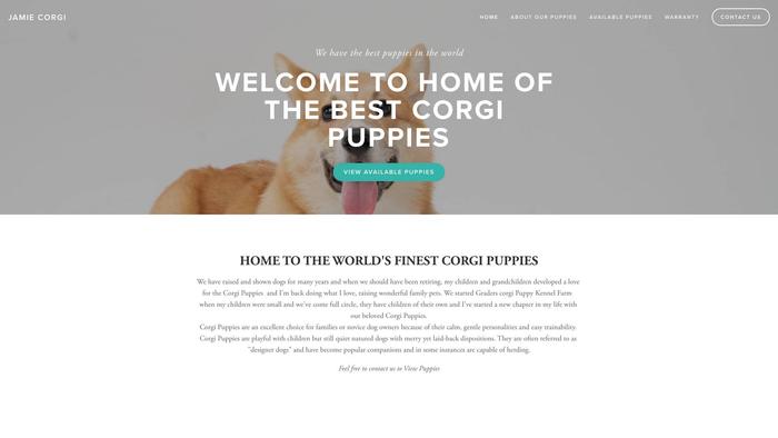 Jamiecorgi.com - Corgi Puppy Scam Review