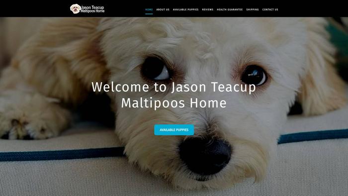 Jasonteacupmaltipooshome.com - Maltipoo Puppy Scam Review