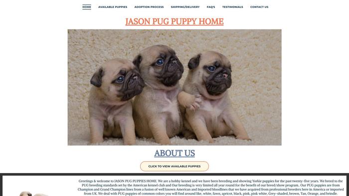 Jassonpugpuppies.com - Pug Puppy Scam Review