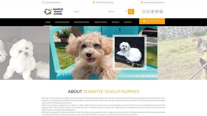 Jeanetteteacuppuppies.com - Yorkshire Terrier Puppy Scam Review