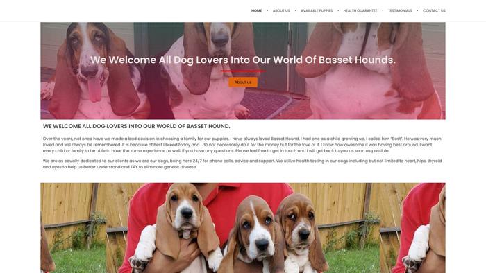 Jennabassethoundpuppies.com - Bassethound Puppy Scam Review