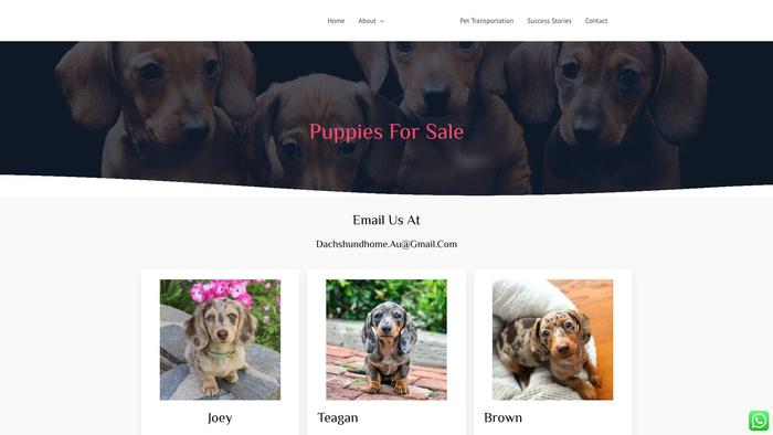 Jjdachshunds.com - Dachshund Puppy Scam Review