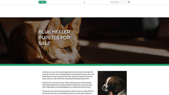 Jjheelers.com - Australian Shepherd Puppy Scam Review