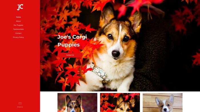 Joescorgies.com - Corgi Puppy Scam Review