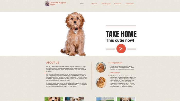 Joycavapoopupshome.com - Cavapoo Puppy Scam Review