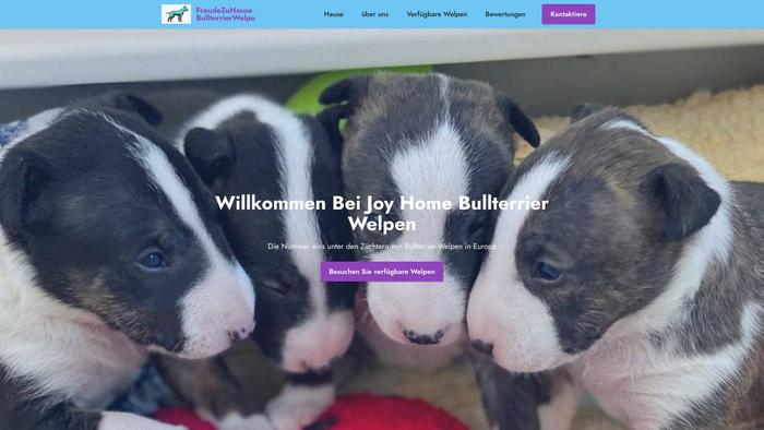 Joyhomebullterrierwelpe.com - Terrier Puppy Scam Review