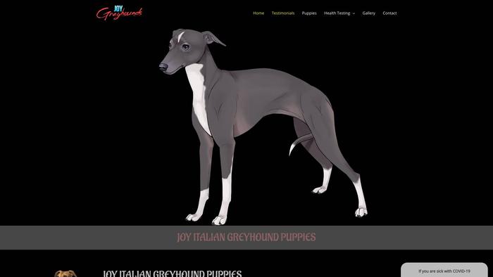 Joyitaliangreyhoundpuppies.com - Labrador Puppy Scam Review