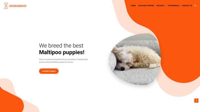 Joyousmaltipoos.com - Maltipoo Puppy Scam Review