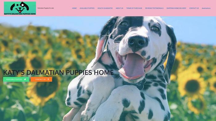 Kattysdalmatianpuppies.com - Labrador Puppy Scam Review