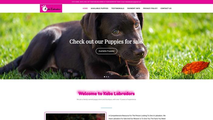 Kebslabradors.com - Labrador Puppy Scam Review