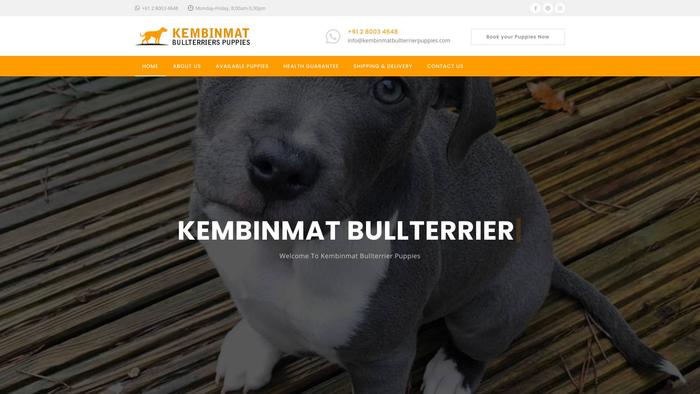 Kembinmatbullterrierpuppies.com - Terrier Puppy Scam Review