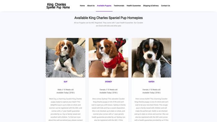 Kingcharlespanielpuphome.com - Cavalier King Charles Spaniel Puppy Scam Review