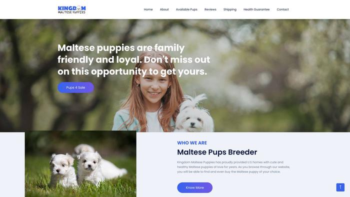 Kingdommaltesepuppies.com - Maltese Puppy Scam Review