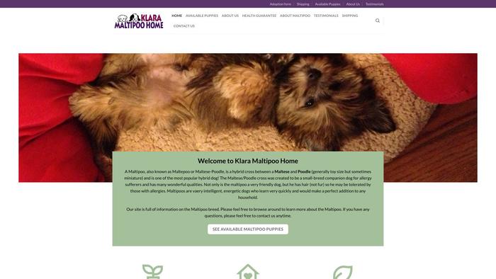 Klaramaltipoohome.com - Maltipoo Puppy Scam Review