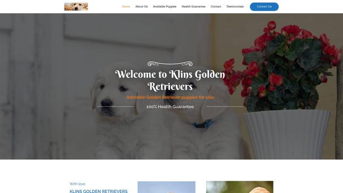 Klinsgoldenretrievers.com - Golden Retriever Puppy Scam Review