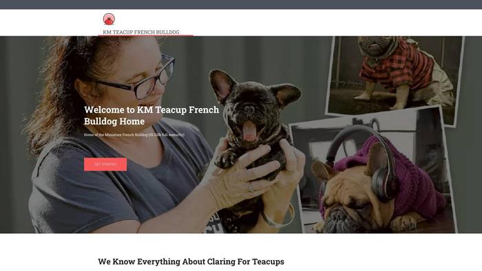 Kmteacupfrenchbuldogpuppies.com - French Bulldog Puppy Scam Review