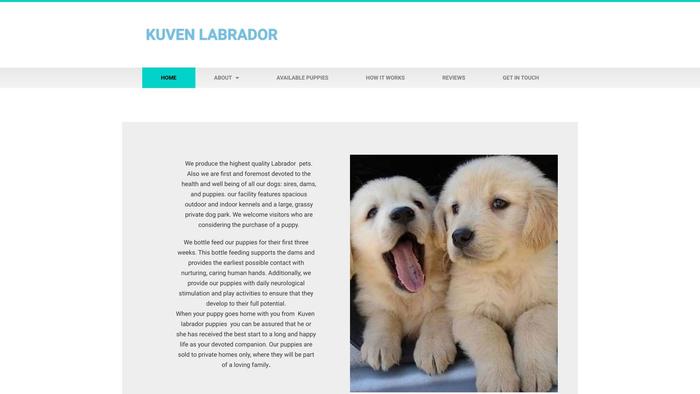 Kuvenlabradorpuppies.com - Labrador Puppy Scam Review