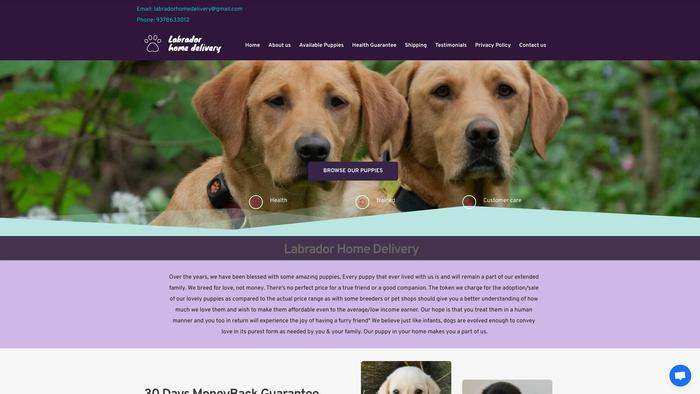 Labradorhomedelivery.com - Labrador Puppy Scam Review