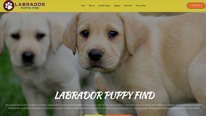 Labradorpuppyfind.com - Labrador Puppy Scam Review