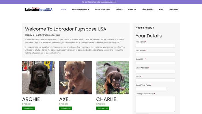 Labradorpupsbaseusa.com - Labrador Puppy Scam Review