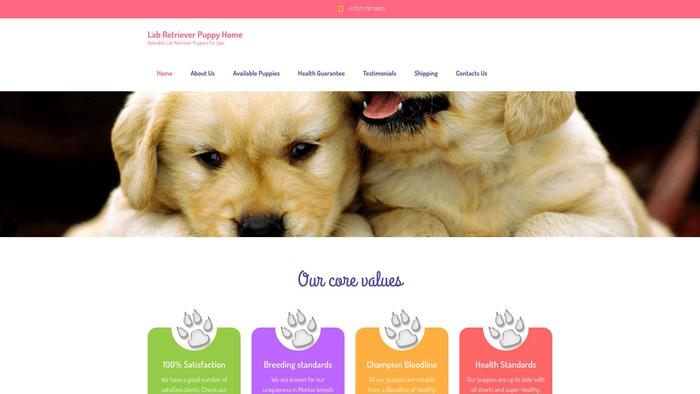 Labradorretrieverpuppyhome.com - Golden Retriever Puppy Scam Review