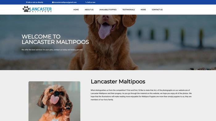 Lancastermaltipoos.com - Maltipoo Puppy Scam Review