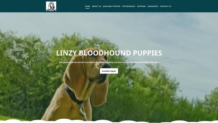 Linzybloodhoundpuppiehome.com - Labrador Puppy Scam Review