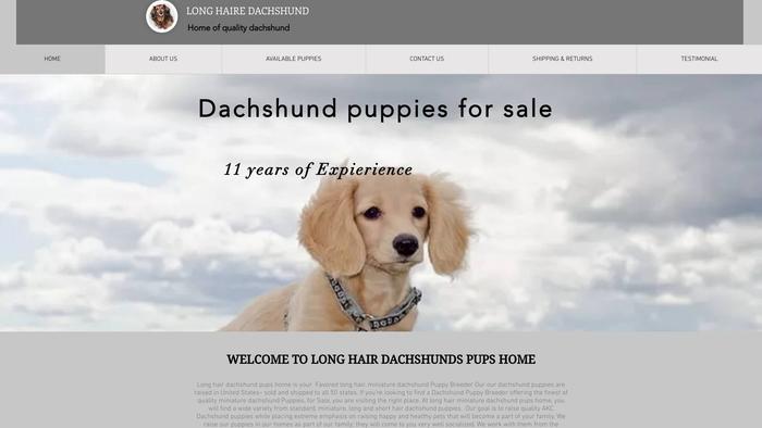 Longhairdachshund4sale.com - Dachshund Puppy Scam Review