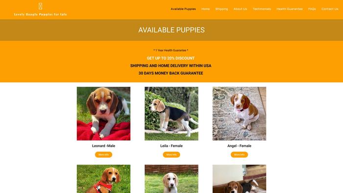 Lovelybeaglepuppiesforsale.com - Beagle Puppy Scam Review