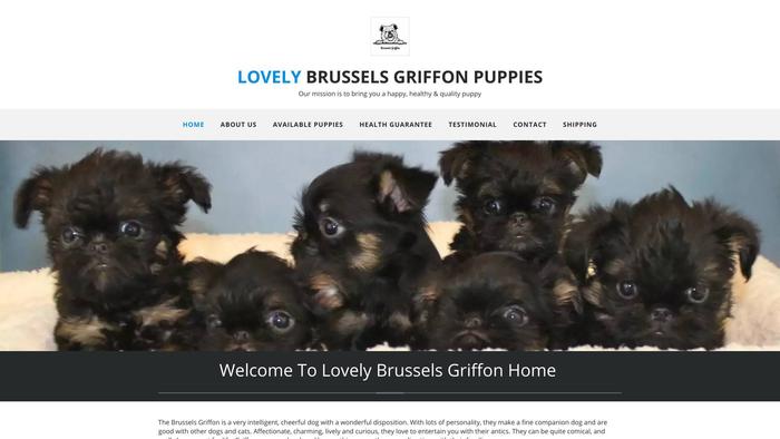 Lovelybrusselsgriffonshome.com - Maltese Puppy Scam Review