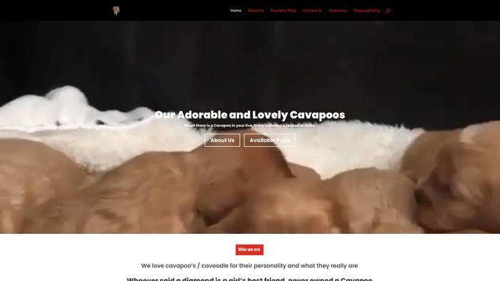 Lovelycavapoo.com - Cavapoo Puppy Scam Review