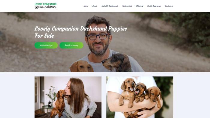 Lovelycompaniondachshunds.com - Dachshund Puppy Scam Review