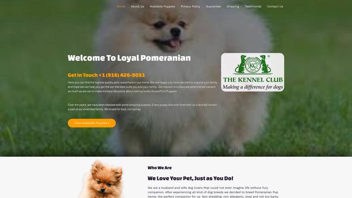 Loyalpomeranian.com - Pomeranian Puppy Scam Review