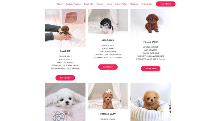 Loyalpoodlepuppies.com - Poodle Puppy Scam Review