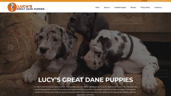 Lucygreatdanepuppies.com - Great Dane Puppy Scam Review