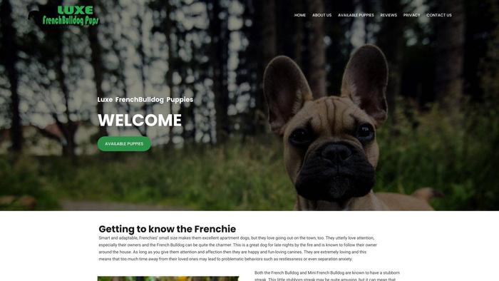 Luxefrienchulldogpuppies.com - French Bulldog Puppy Scam Review