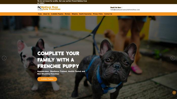 Madisonryancutefrenchies.com - French Bulldog Puppy Scam Review