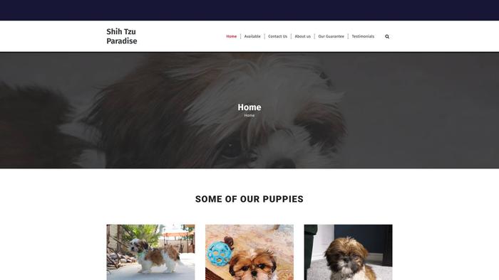 Magicalshihtzupups.com - Shihtzu Puppy Scam Review