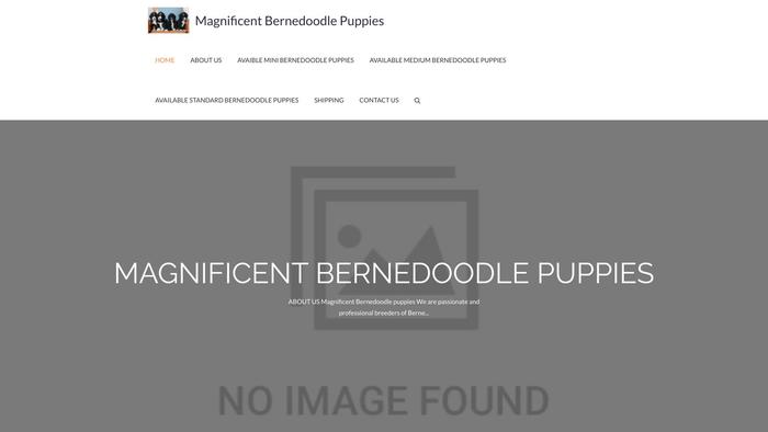 Magnificentbernedoodlepuppies.com - Bernedoodle Puppy Scam Review