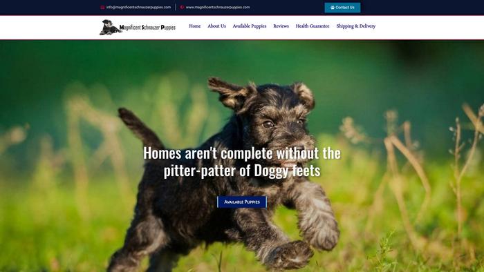 Magnificentschnauzerpuppies.com - Schnauzer Puppy Scam Review