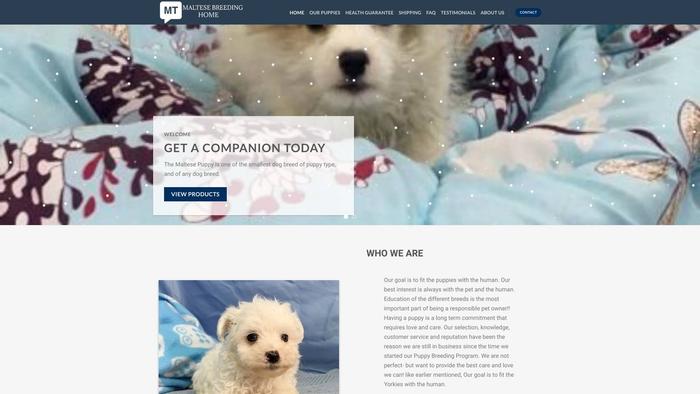 Maltesebestbreedershome.com - Maltese Puppy Scam Review