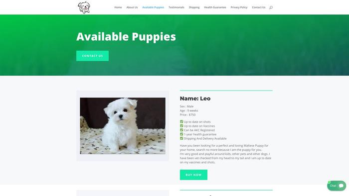 Maltesepuppieskennels.com - Maltese Puppy Scam Review